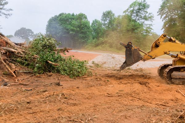 Ground Clearing in Yorba Linda