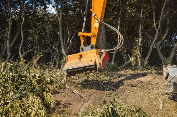 Brush Removal Service in Yorba Linda