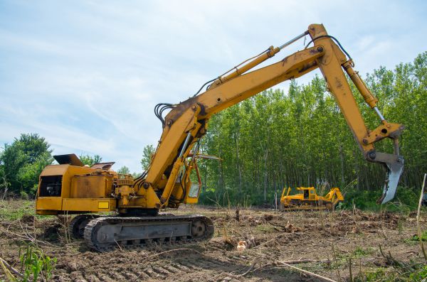Cost of Farm Clearing in Yorba Linda
