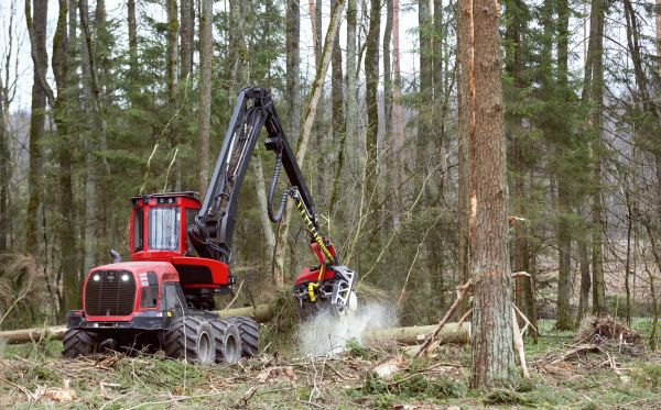 Cost of Forest Clearance Service in Yorba Linda