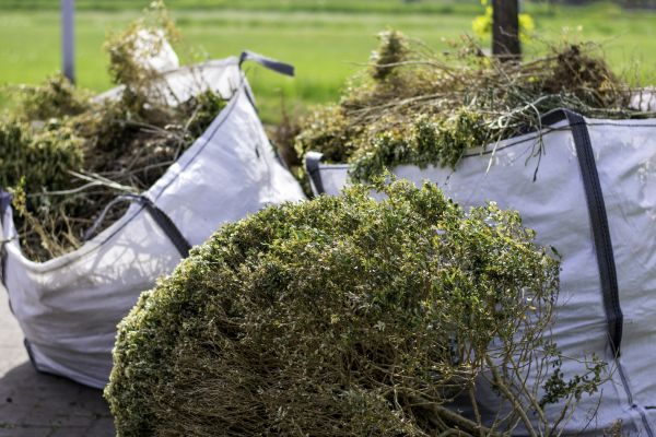 Cost of Bushes Clearing in Yorba Linda