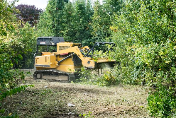 Cost of Pathway Clearing in Yorba Linda