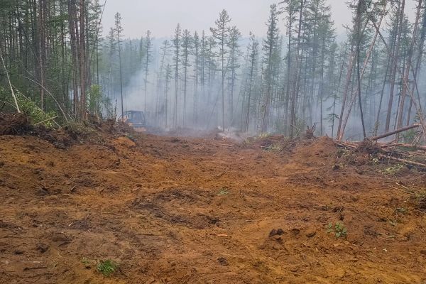 Cost of Hill Clearing in Yorba Linda