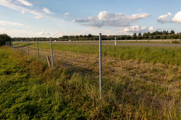 Cost of Property Line Clearing in Yorba Linda