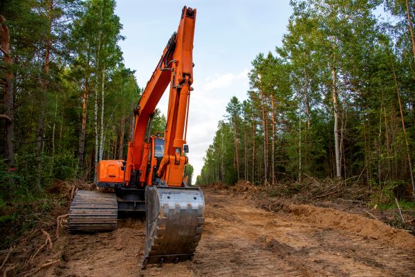 Cost of Backhoe Land Clearing in Yorba Linda