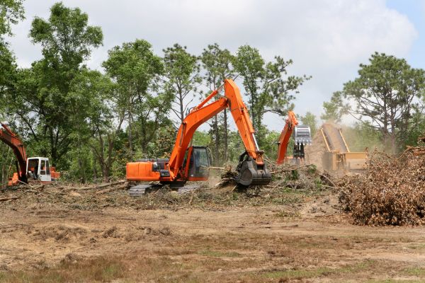 Cost of Commercial Lot Clearing in Yorba Linda