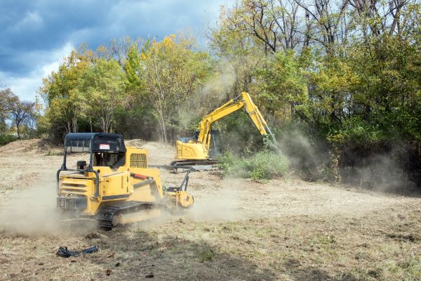 Cost of Terrain Clearing in Yorba Linda