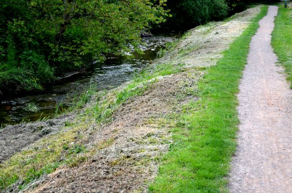 Cost of Trail Cutting in Yorba Linda