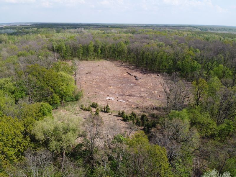 Acreage Clearing