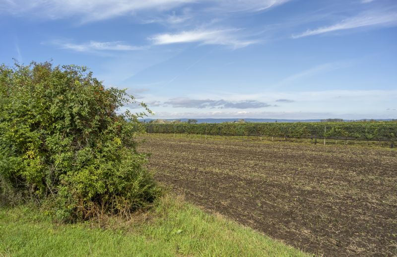 Acreage Clearing