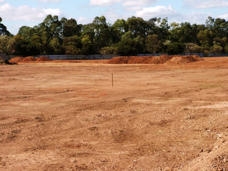 Acreage Clearing
