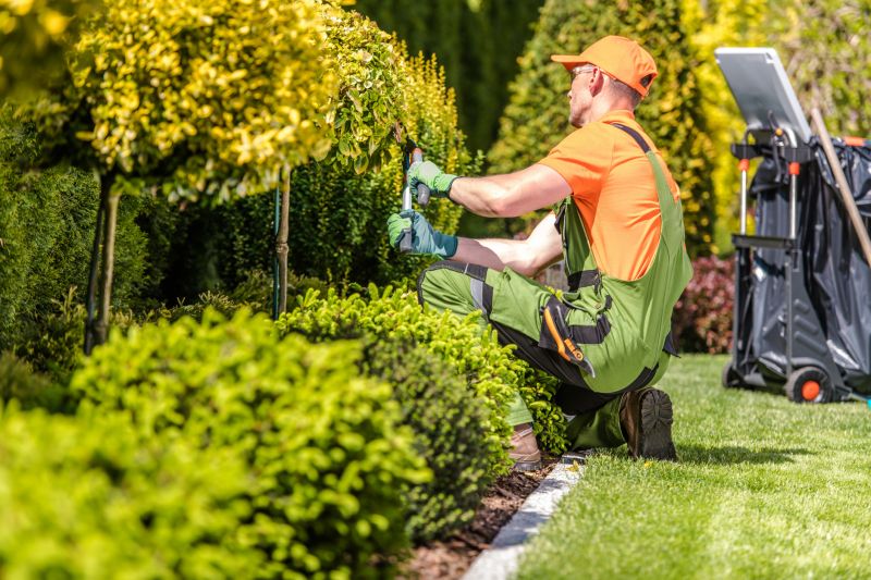 Local Landscaping Companies